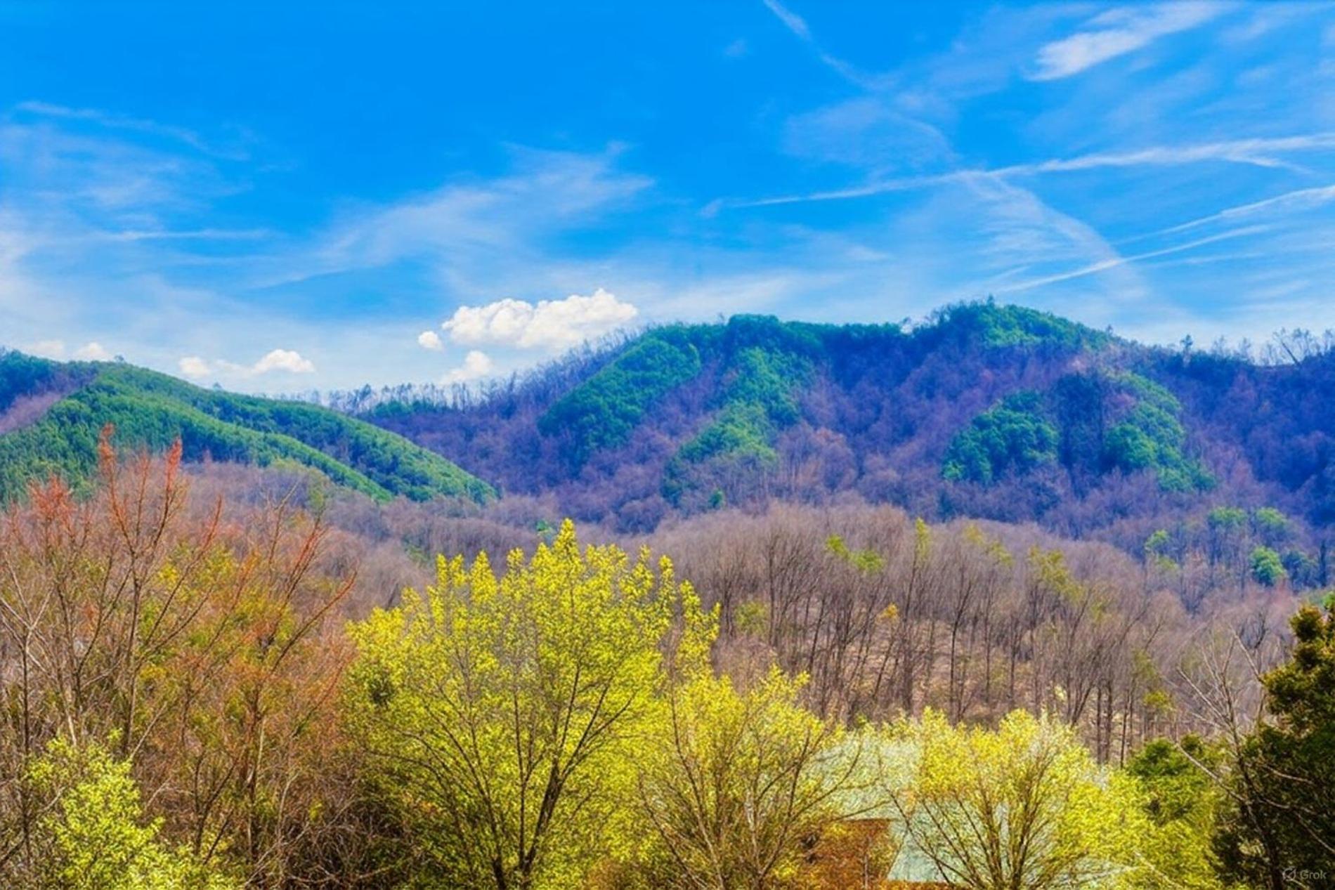 Smoky Bear Lodge With Guest House, Hot Tub, 1089 Free Tickets Each Paid Day, Dollywood And More Sevierville Exterior photo