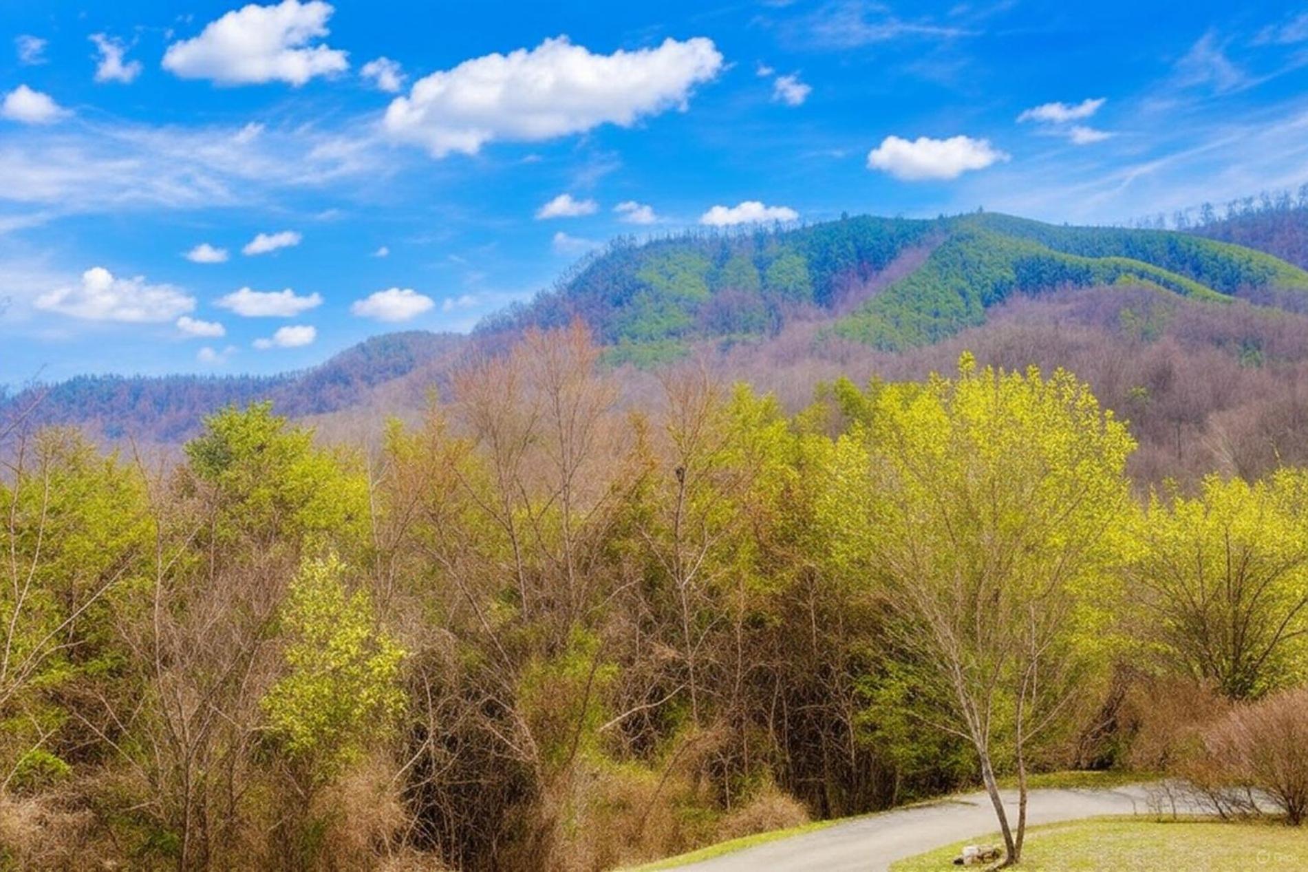 Smoky Bear Lodge With Guest House, Hot Tub, 1089 Free Tickets Each Paid Day, Dollywood And More Sevierville Exterior photo